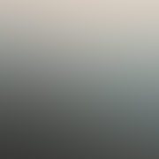 Calendário e Transmissões